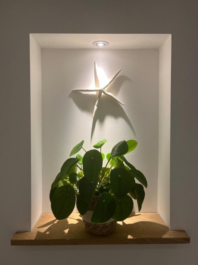 Appartement Van Der Zee Zandvoort Dış mekan fotoğraf