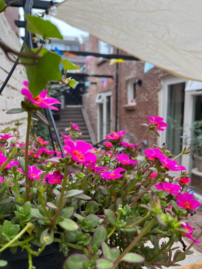 Appartement Van Der Zee Zandvoort Dış mekan fotoğraf
